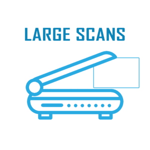Large Scans (up to 9"x12")