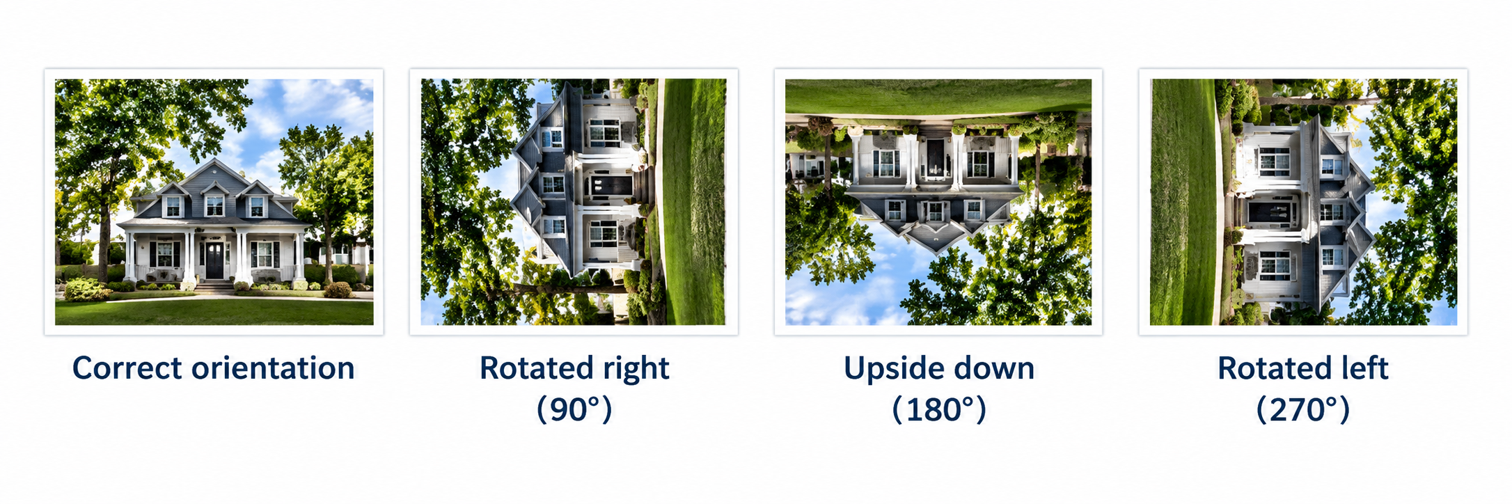 Scanned Photo Orientation Examples