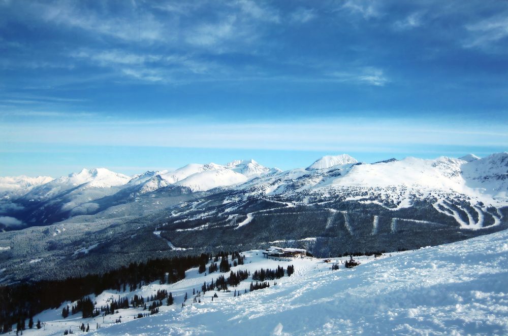 Sample Image - 600dpi